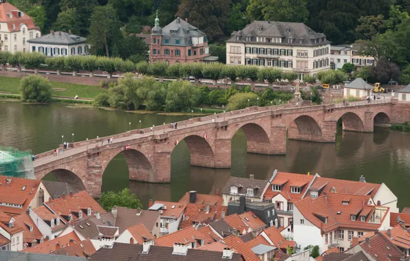 Picture Home, Bridge, River, Germany, Panorama, Roof, Building, Bridge, Germany, River, Panorama, Heidelberg, Heidelberg