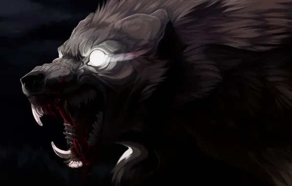 Picture blood, wolf, wool, mouth, fangs