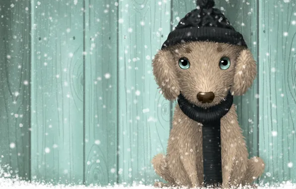 Picture winter, snow, dog, emerald