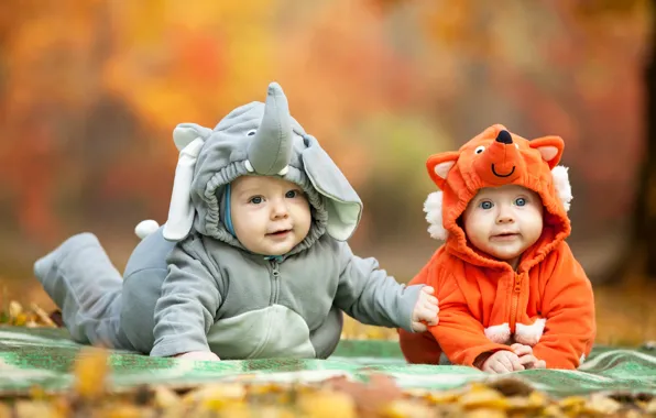 Picture autumn, look, children, costume, kids, child, Foxes, Elephants, Infants