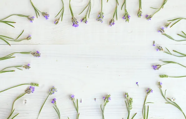 Picture flowers, background, Lavender, Twigs