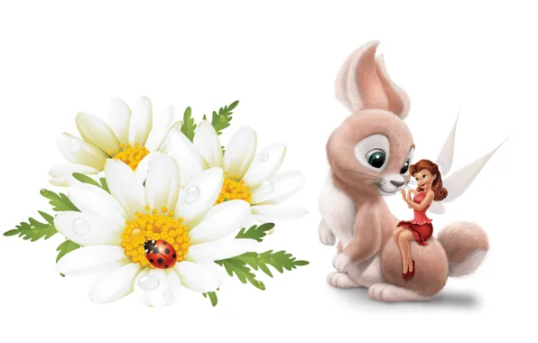 Picture flowers, Rosa, ladybug, Daisy, fairy, art, Bunny, children's, princess, Tinker Bell Fairies