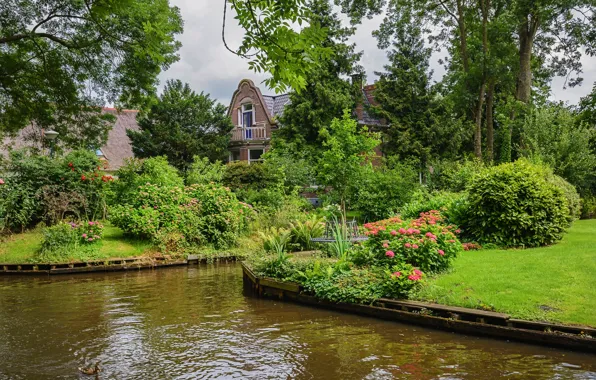 Picture greens, water, trees, flowers, house, lawn, garden, channel, Netherlands, the bushes, Giethoorn