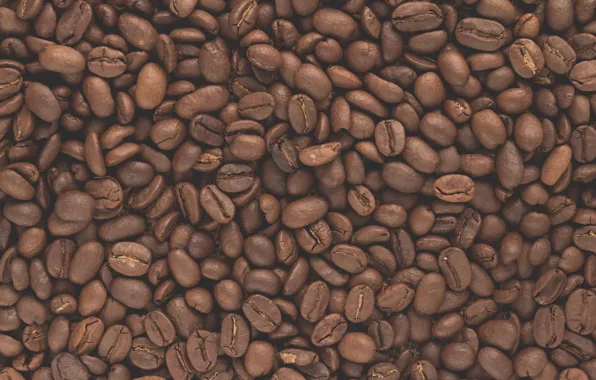 Picture coffee, grain, texture