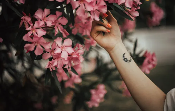 Picture flowers, hand, a month, petals, tattoo, tattoo