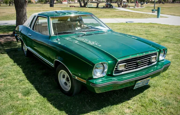 Picture style, retro, Ford Mustang, 1977