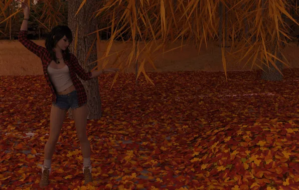Picture autumn, leaves, girl, the evening