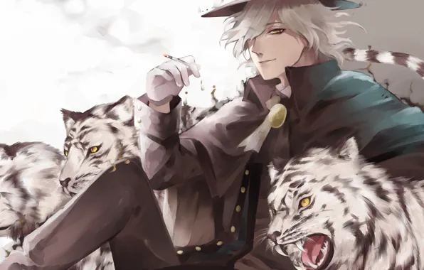 Picture animals, look, hat, art, guy, tigers, Fate/Grand Order, Fate/Grand Campaign