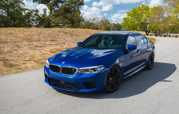 Picture BMW, Blue, Sight, F90