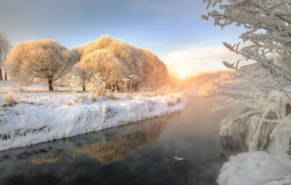 Picture winter, frost, snow, trees, nature, river