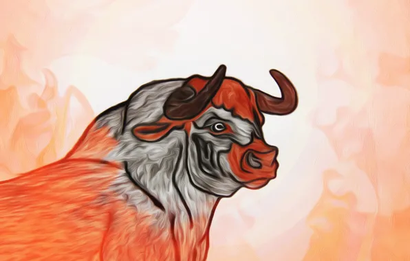 Picture figure, picture, bull