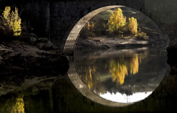 Picture light, trees, bridge, nature, river