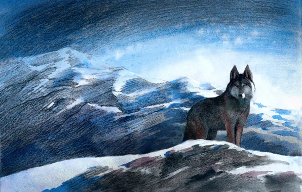 Picture winter, mountains, blue eyes, grey wolf, Aibek Begalin, Illustrations of Aitmatov, Block color