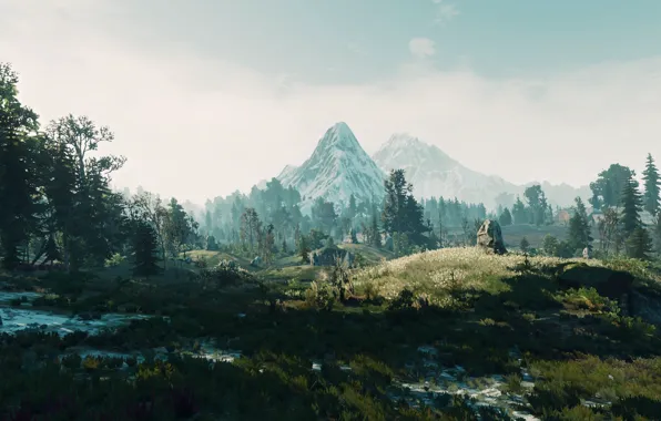 Picture landscape, nature, the game, The Witcher 3
