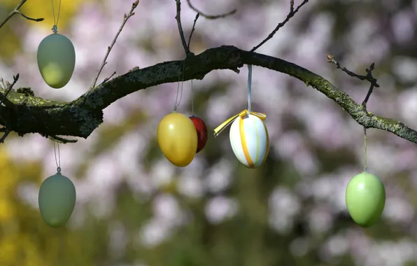 Picture tree, holiday, eggs, branch