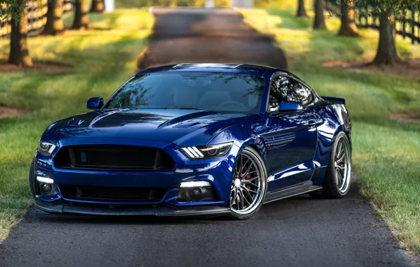 Picture Mustang, Ford, Blue, 5.0, LED lights