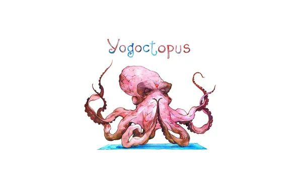 Picture minimalism, Octopus, yoga, humor, white background, humoristic, simple background, yogoctopus