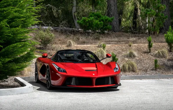 Picture Ferrari, Italia, RED, LaFerrari
