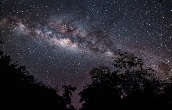 Picture stars, night, beauty, the milky way