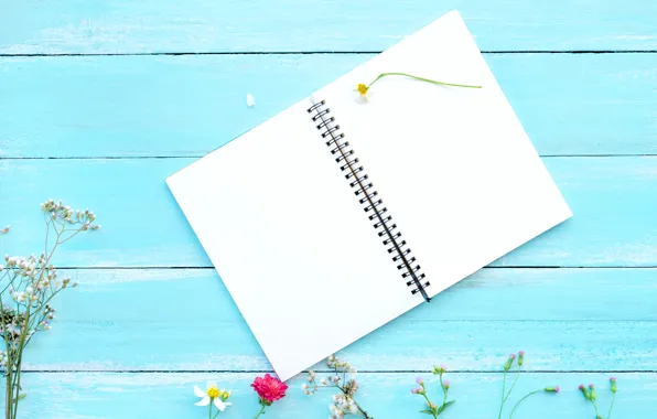 Picture flowers, background, Notebook, Chrysanthemum