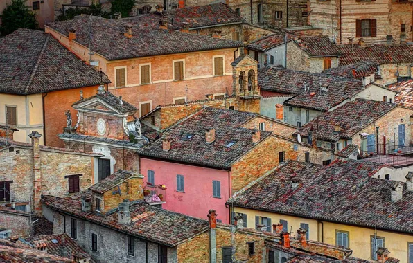Picture roof, home, Italy, Urbino