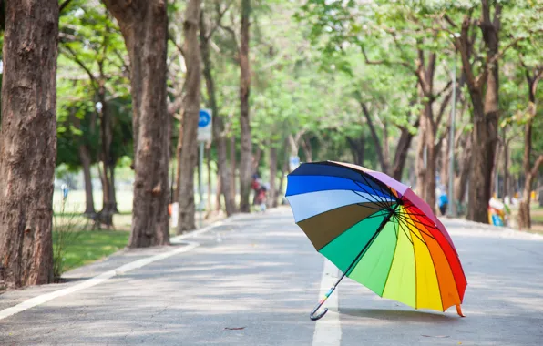 Picture road, summer, trees, Park, rainbow, umbrella, colorful, rainbow, summer, alley, umbrella, park