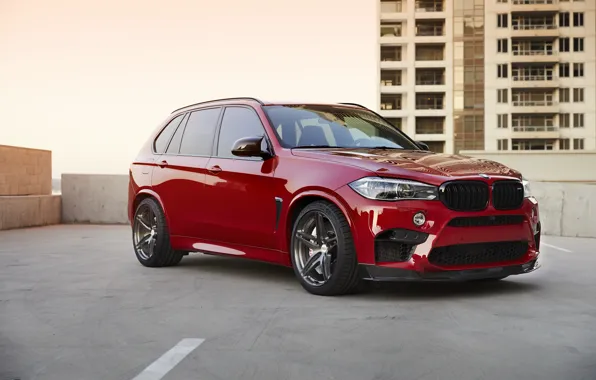 Picture BMW, RED, X5M, Sight, F85