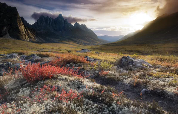Picture Canada, Yukon, Tombstone Territorial Park, North Klondike Valley