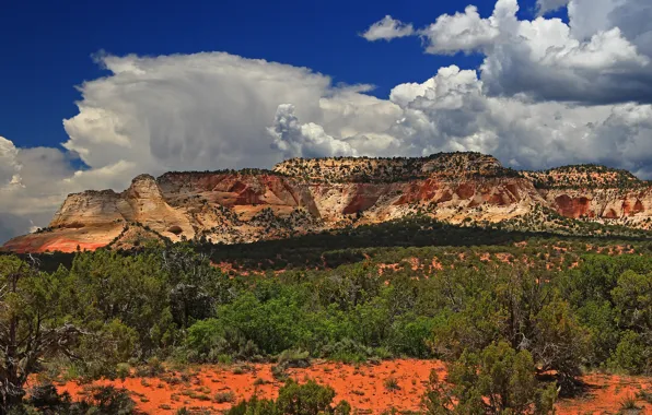 Picture mountains, Utah, USA, Grand Staircase-Escalante, National Monument