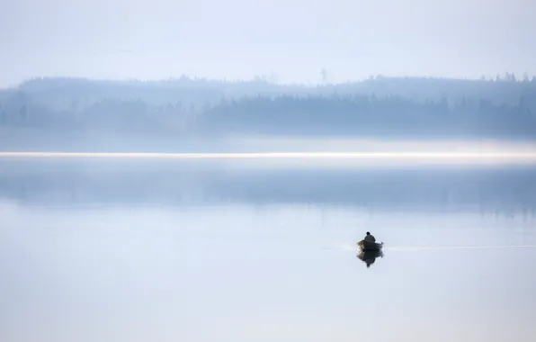 Picture fog, lake, boat