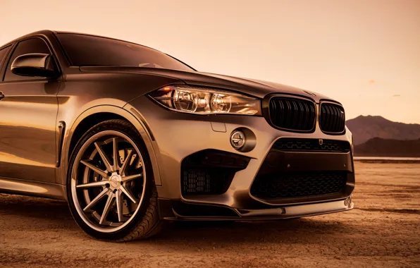 Picture design, style, the front, BMW X6M