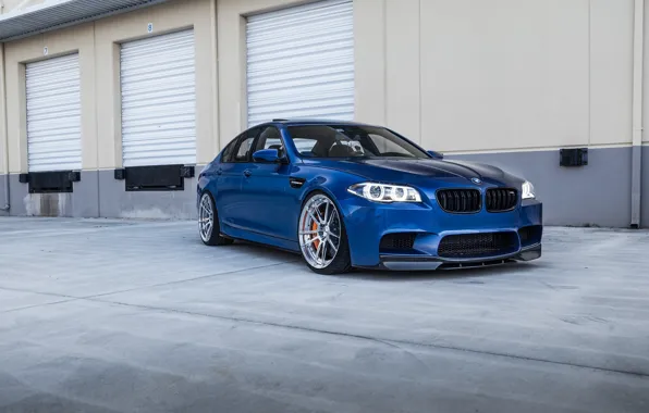 Picture BMW, Blue, F10, Sight, LED