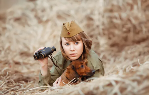 Picture girl, dog, soldiers, hay, binoculars, Dachshund, pussy, photographer Svetlana Nicotine, Natalia Emelyanova