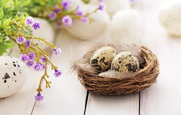Picture flowers, feathers, Easter, socket, happy, flowers, spring, Easter, eggs, decoration, the painted eggs