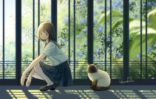 Picture cat, anime, girl