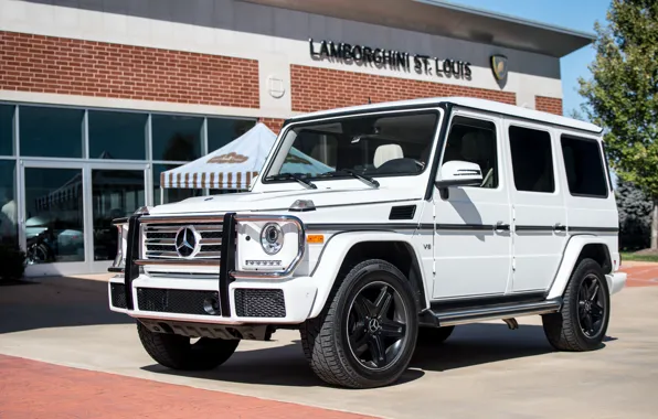 Picture Mercedes, AMG, White, G63
