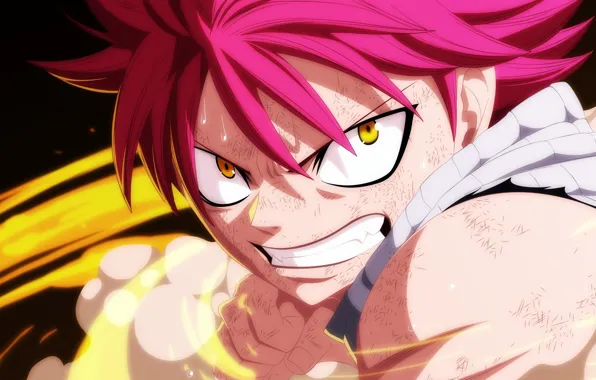 Picture game, anime, dragon, asian, manga, japanese, Fairy Tail, Natsu Dragneel, oriental, asiatic, powerful, strong, sugoi, …