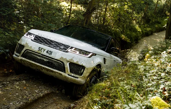 Picture road, forest, plants, puddle, dirt, track, Land Rover, black and white, Range Rover Sport P400e …