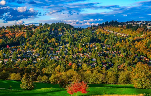 Picture autumn, trees, hills, home, USA, Washington