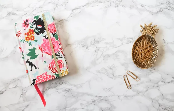 Picture Notepad, pineapple, clip, marble