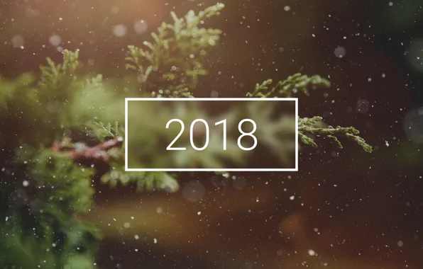 Picture wallpaper, christmas, new year, winter, snow, tree, bokeh, 2018, branch