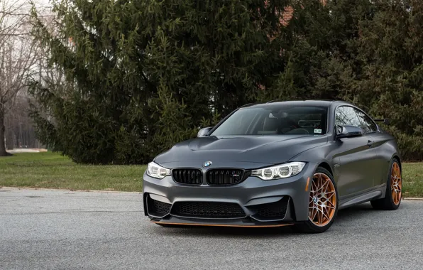 Picture BMW, GTS