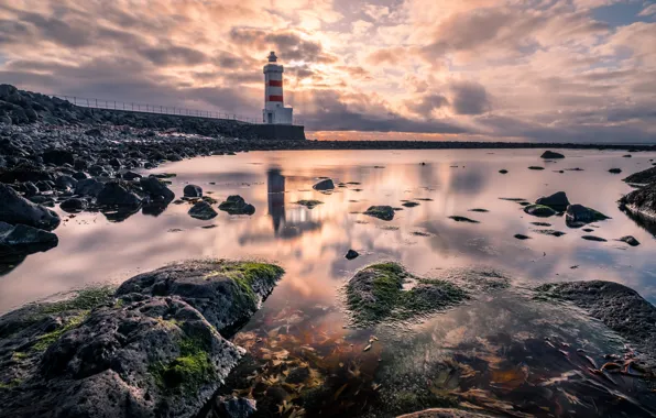 Picture shore, lighthouse, Iceland, Gullbringusysla
