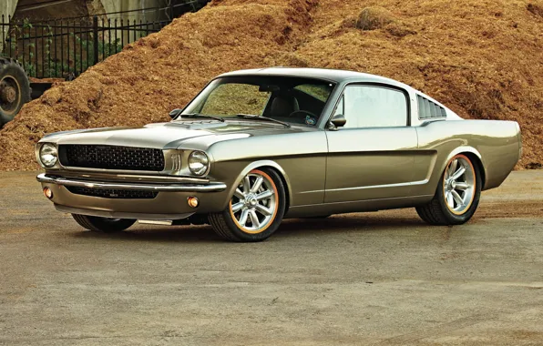Picture Ford Mustang, 1966, Muscle car
