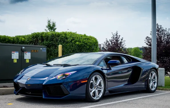 Picture Lamborghini, Blue, Aventador, Parking
