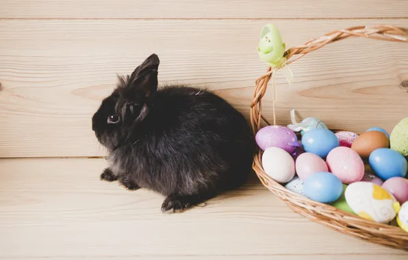Picture Rabbit, Easter, Eggs, Basket, Holiday