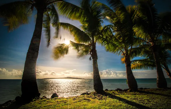 Picture sea, the sky, the sun, clouds, tropics, palm trees, coast, horizon, Samoa