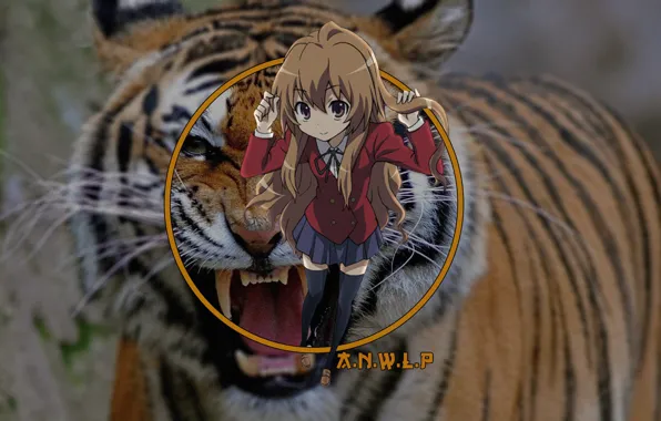 Picture girl, tiger, anime, Tora Dora, madskillz, Tiger vs dragon