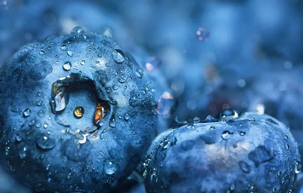 Picture water, drops, blueberries, by dashakern