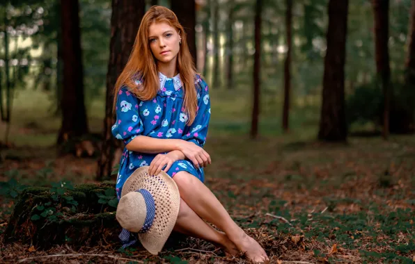 Picture forest, dress, hat, the beauty, redhead
